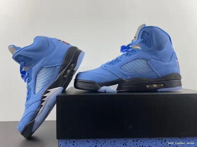 Rep LUCY 5 Jordan UNC DV1310-401 Air 0508